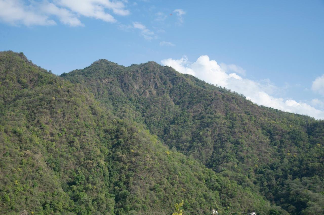 Hotel Dream Inn ริชิเคช ภายนอก รูปภาพ